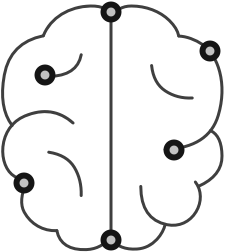 Custom Software Development